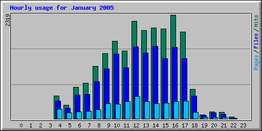 Hourly usage for January 2005