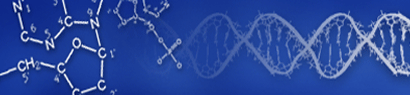 Nucleotides merging into DNA